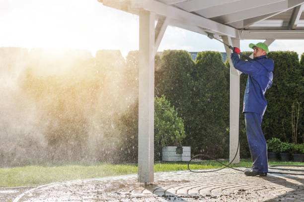 Animal Enclosure Cleaning in St Marys, PA